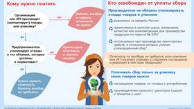 Что сдают ООО в 2025 году в Кальцедония
