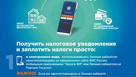 Как изменяется ИНН в Кальцедония