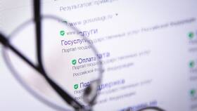 Как получить справку 3-НДФЛ через портал Госуслуги в Кальцедония