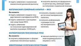 Как получить выписку из лицевого счета ПФР в Кальцедония
