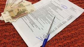 Как правильно обосновать смету расходов в Кальцедония