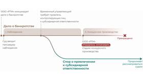 Как привлечь к ответственности ООО в Кальцедония