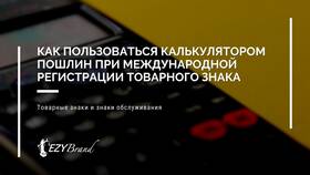 Как рассчитать пошлину с AliExpress: онлайн калькулятор в Кальцедония
