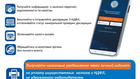 Как войти в личный кабинет налогоплательщика через Госуслуги в Кальцедония