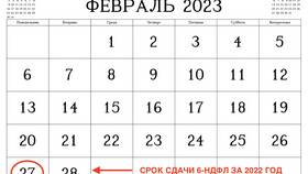 Код 2720 в 2-НДФЛ: что означает в Кальцедония