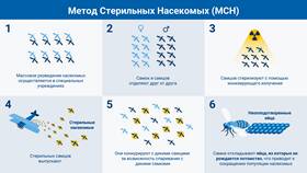 Методы выведения радиации из организма в Кальцедония