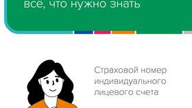 Почему требуют предоставление СНИЛС в Кальцедония