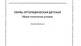СНИЛС физического лица: значение и особенности в Кальцедония